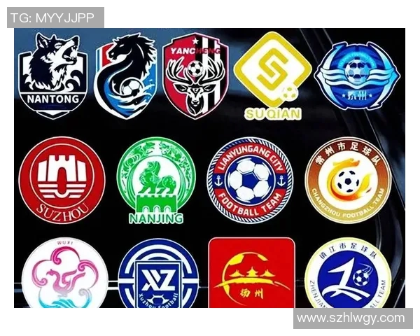 中国足球国家队队标的设计理念与文化象征探讨